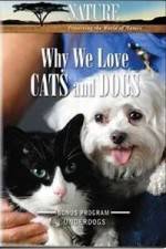 Watch Why We Love Cats And Dogs Afdah