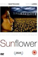 Watch Sunflower Afdah