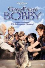 Watch Greyfriars Bobby The True Story of a Dog Afdah