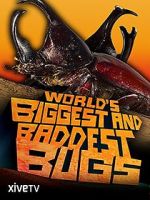 Watch World\'s Biggest and Baddest Bugs Afdah