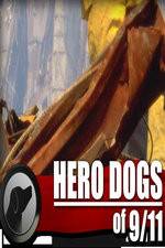 Watch Hero Dogs of 911 Documentary Special Afdah