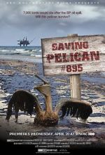 Watch Saving Pelican 895 (Short 2011) Afdah