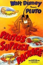 Watch Pluto\'s Surprise Package Afdah