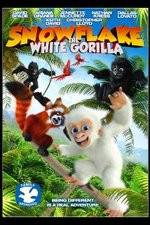 Watch Snowflake, the White Gorilla Afdah