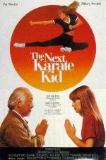 Watch The Next Karate Kid Afdah