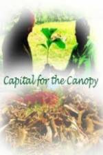 Watch Capital for the Canopy Afdah