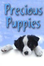 Watch Precious Puppies Afdah
