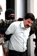 Watch The Rise and Fall of El Chapo Afdah