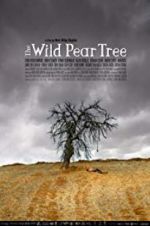 Watch The Wild Pear Tree Afdah