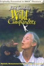 Watch Jane Goodall's Wild Chimpanzees Afdah