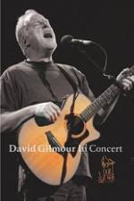 Watch David Gilmour in Concert - Live at Robert Wyatt's Meltdown Afdah
