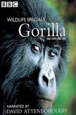 Watch Gorilla Revisited with David Attenborough Afdah