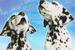 Watch 101 Dalmatians Sing Along Afdah