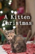 Watch A Kitten Christmas Afdah