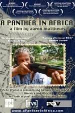 Watch A Panther in Africa Afdah