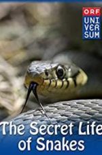 Watch The Secret Life of Snakes Afdah