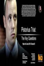 Watch Pistorius Trial: The Key Questions Afdah