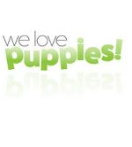 Watch We Love Puppies Afdah