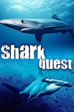 Watch Shark Quest Afdah