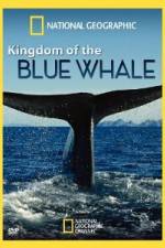 Watch National Geographic Kingdom of Blue Whale Afdah