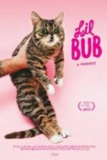 Watch Lil Bub & Friendz Afdah