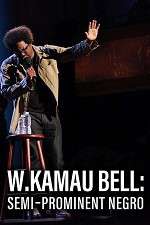 Watch W. Kamau Bell: Semi-Promenint Negro Afdah