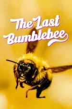 Watch The Last Bumblebee Afdah