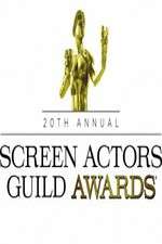 Watch The 20th Annual Screen Actors Guild Awards Afdah