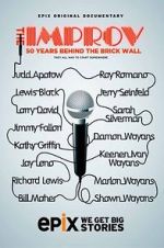 Watch The Improv: 50 Years Behind the Brick Wall (TV Special 2013) Afdah