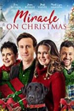 Watch Miracle on Christmas Afdah
