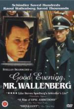 Watch Good Evening, Mr. Wallenberg Afdah