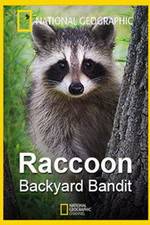 Watch Raccoon: Backyard Bandit Afdah