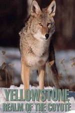 Watch Yellowstone: Realm of the Coyote Afdah