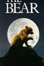 Watch The Bear - (L'ours) Afdah
