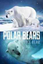 Watch Polar Bears Ice Bear Afdah