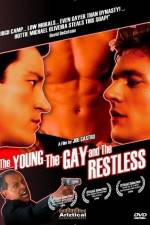 Watch The Young the Gay and the Restless Afdah