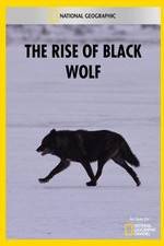 Watch The Rise of Black Wolf Afdah