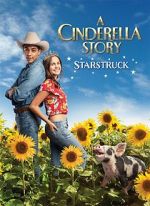 Watch A Cinderella Story: Starstruck Afdah
