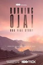 Watch Burning Ojai: Our Fire Story Afdah