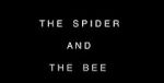 Watch The Spider and the Bee Afdah
