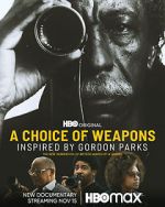 Watch A Choice of Weapons: Inspired by Gordon Parks Afdah