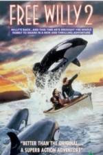 Watch Free Willy 2 The Adventure Home Afdah