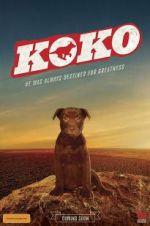 Watch Koko: A Red Dog Story Afdah
