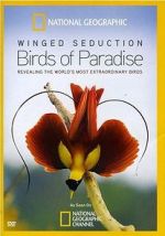 Watch Winged Seduction: Birds of Paradise Afdah