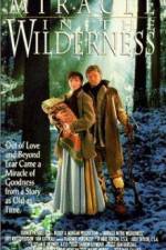 Watch Miracle in the Wilderness Afdah