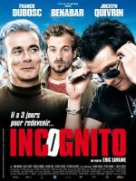 Watch Incognito Afdah