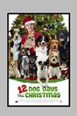 Watch 12 Dog Days Till Christmas Afdah