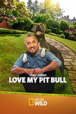 Watch Cesar Millan: Love My Pit Bull Afdah