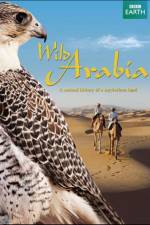 Watch Wild Arabia Afdah