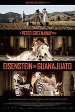 Watch Eisenstein in Guanajuato Afdah